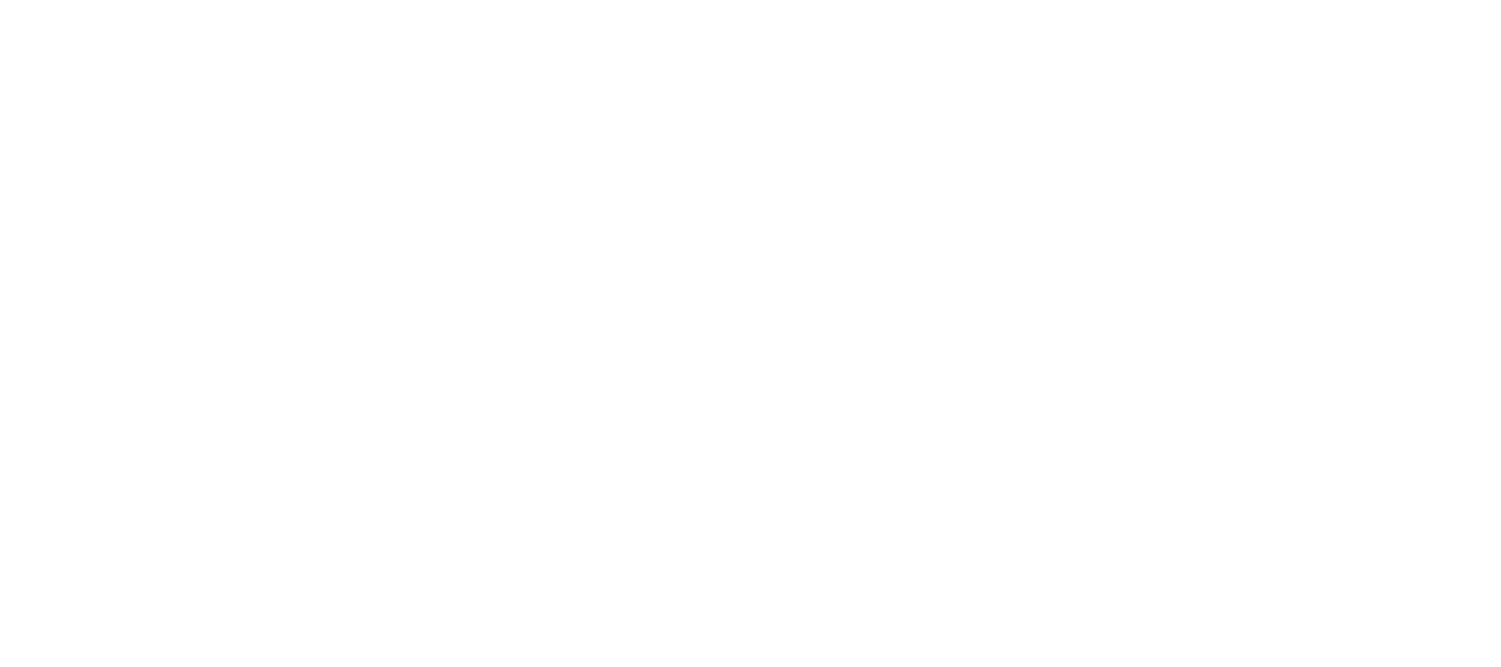 Mr. Electric