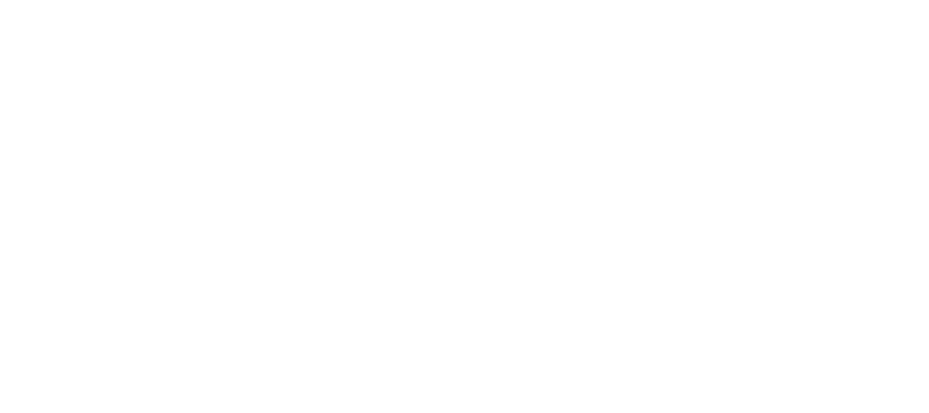 Mr. Handyman
