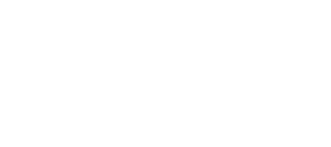 Mr. Rooter